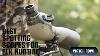 8 Best Spotting Scopes For Elk Hunting