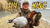 Diver Duck Hunting We Shot A Stud Canvasback Duck Hunting 2023