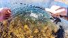 Giant Desert Trout Galore Solo Early Spring Trout Fishing