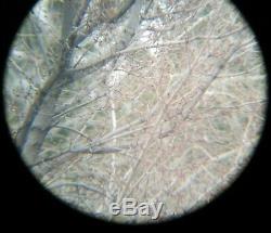 Leupold Sequoia Green Ring 15-45 x 60mm Spotting Scope