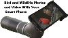 Low Cost Digiscoping With Your Smartphone