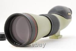 N MINT? Nikon Field Scope D=60 P ED Straight Type eyepiece 20x FieldScope JAPAN