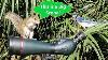 Svbony Sv406 25 75x100 Hd Dual Focusing Spotting Scope Review
