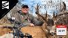 Tagging Your Target Buck In Early October With Justin Hollandsworth