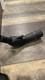 Upland Optics Perception HD 20-60 x 60 mm Spotting Scope
