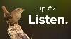 Use These 10 Tips To Find More Birds Today