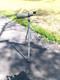 Vtg Bushnell Spacemaster II Spotting Scope 60mm Sunset Tripod 40x Eyepiece gCo